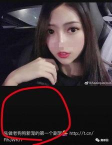 网红会有黑料吗是真的吗,网络舆论下的真实与虚假