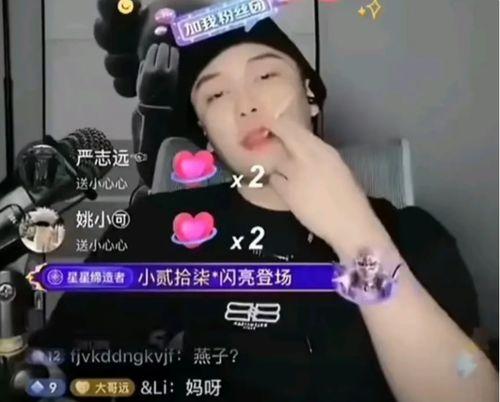 网红黑料贴吧,贴吧背后的真相与争议