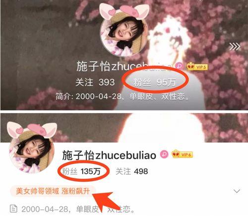 小网红有黑料嘛知乎文章,真相与争议