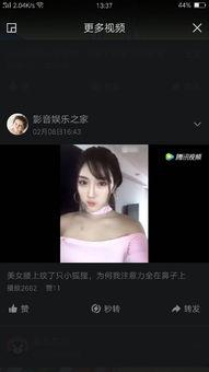 快手网红黑料正能量网站,揭秘快手网红正能量背后的黑料真相